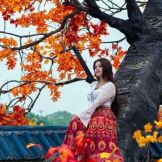 Zara Bohemian A-Line Skirt