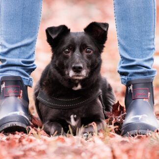 Dr. Martens Lightweight Ankle Boots - Signature