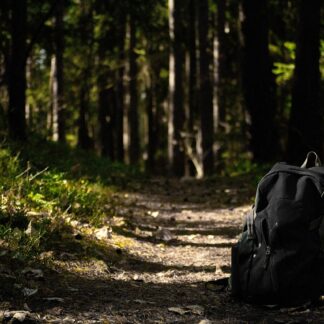Carhartt Winter Backpack - Logo Series