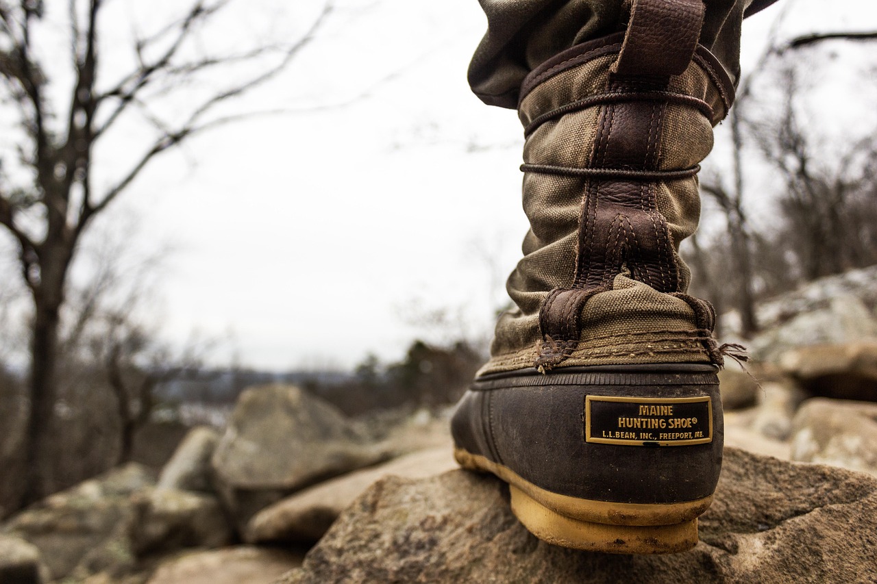Timberland Mid-Top Boots - Court Edition