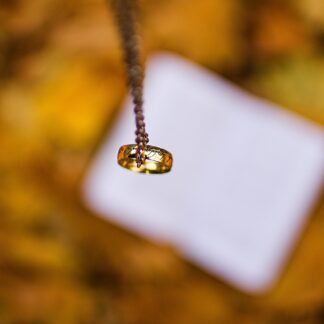 Pandora Crystal Chain - Eternal Collection