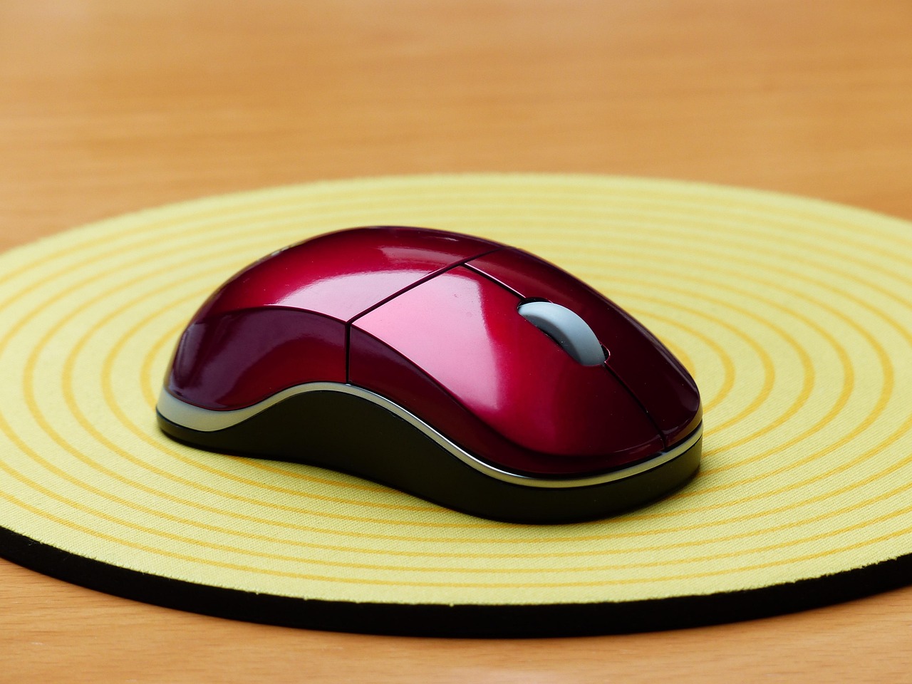 ROCCAT Wireless Mouse RGB