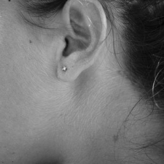 Michael Kors Diamond Earrings - Heritage Edition