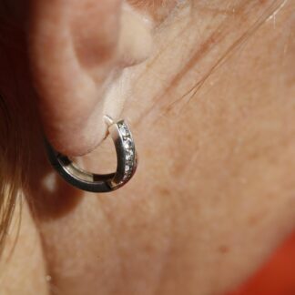 Fossil Silver Earrings