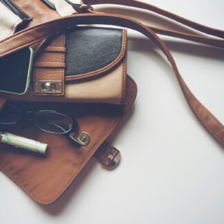 Fossil Winter Handbag - Heritage Collection