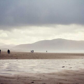 New Balance Premium High Tops