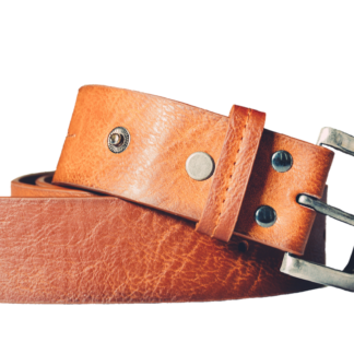 Coach Winter Belt