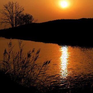 Anthropologie Casual Midi Skirt - Limited Edition