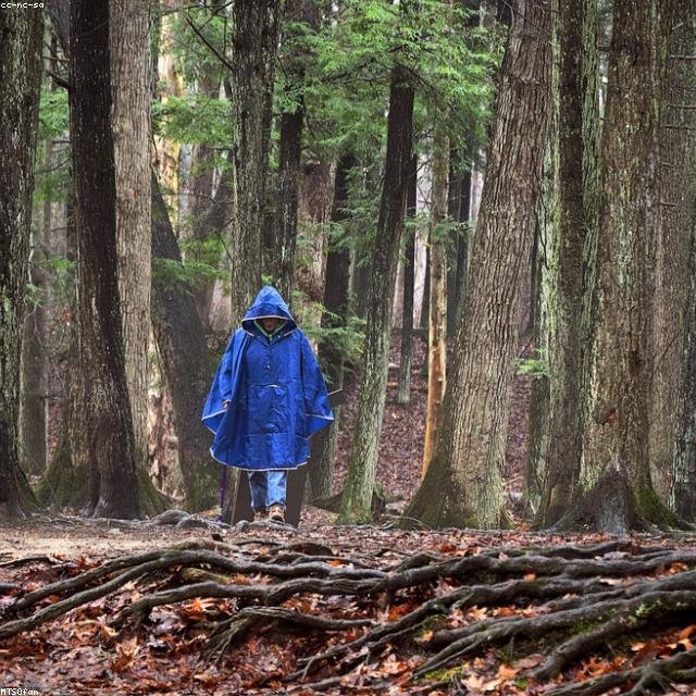Canada Goose Waterproof Parka