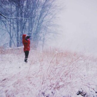 Adidas Classic Polo Shirt