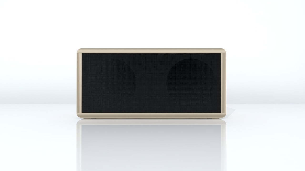 Apple Portable Portable Speaker