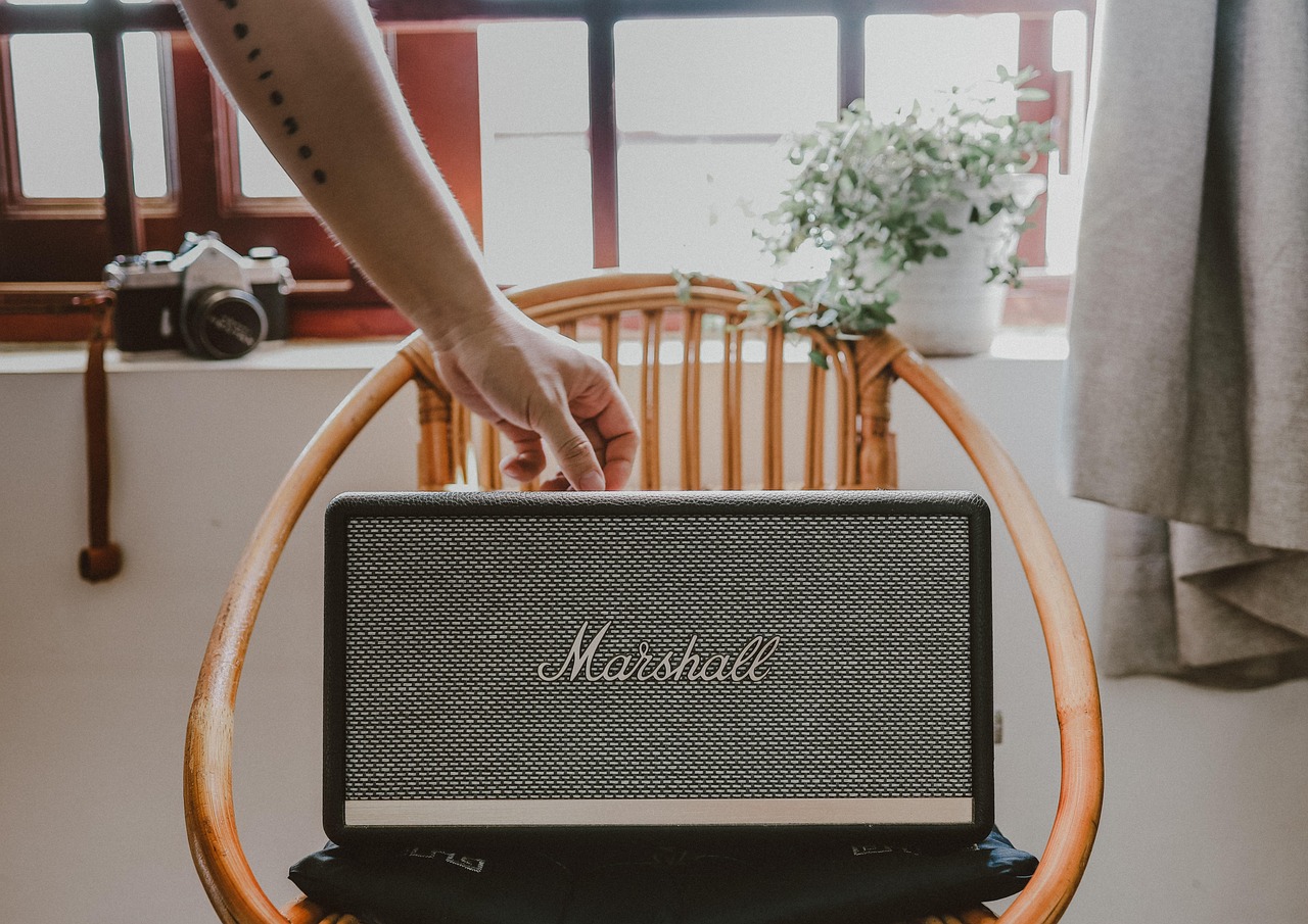 Shure Max Portable Speaker