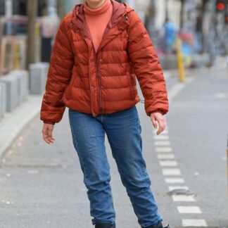 The North Face Hooded Puffer Jacket