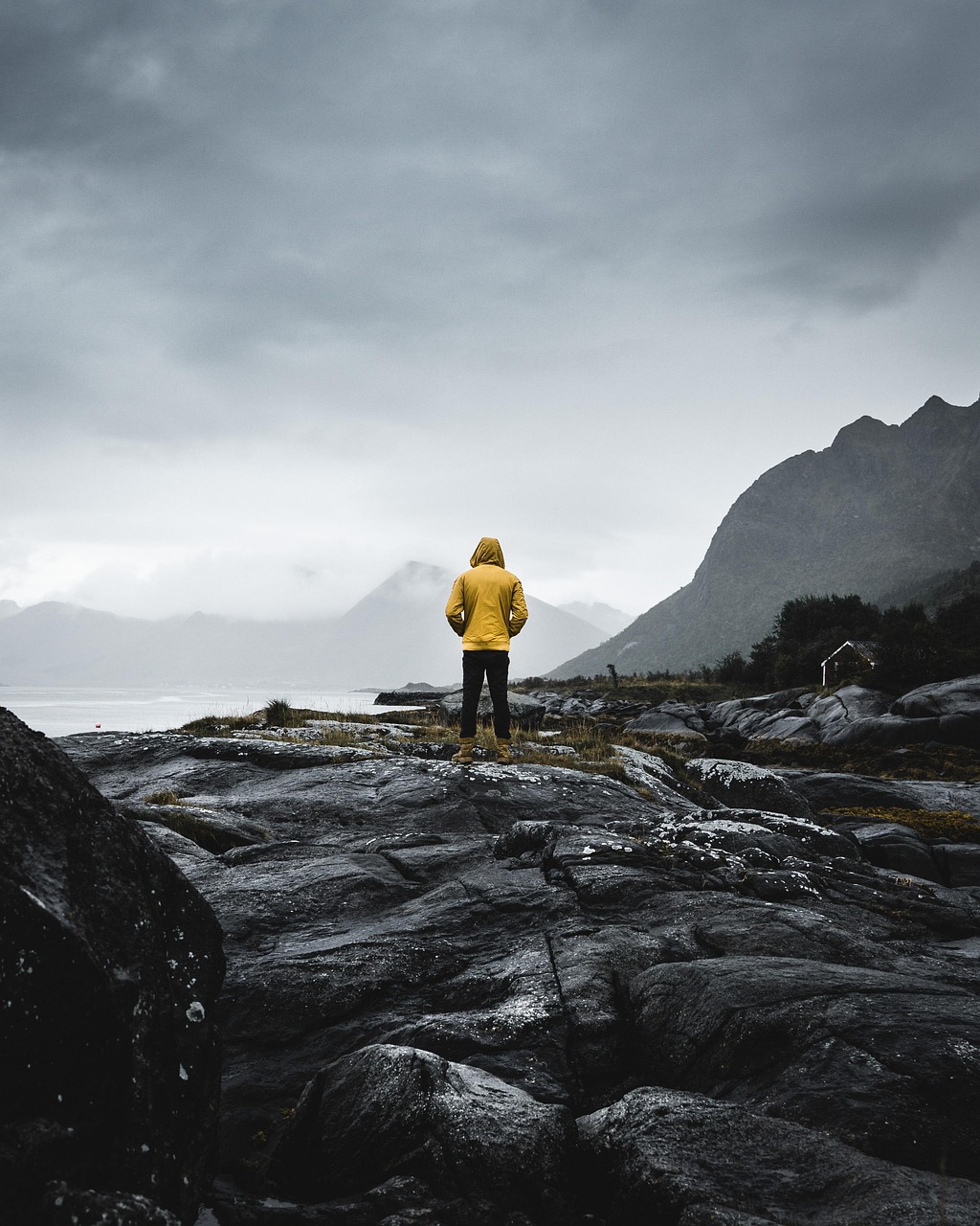 Patagonia Reversible Rain Jacket