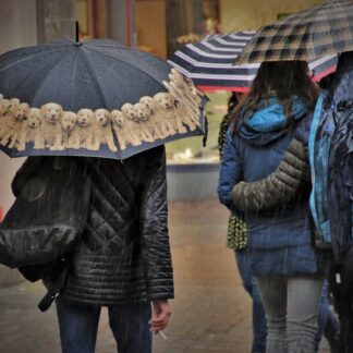 H&M Premium Rain Jacket