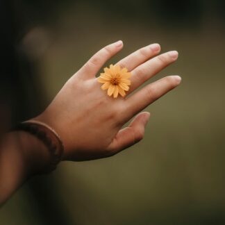 Pandora Silver Ring - Limited Edition