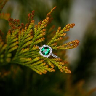 Fossil Minimalist Ring - Signature Collection