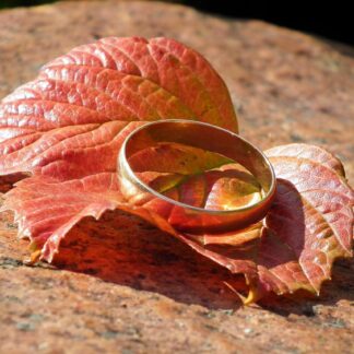 Fossil Crystal Ring - Gift Edition