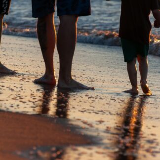 Clarks Classic Sandals - Limited Edition