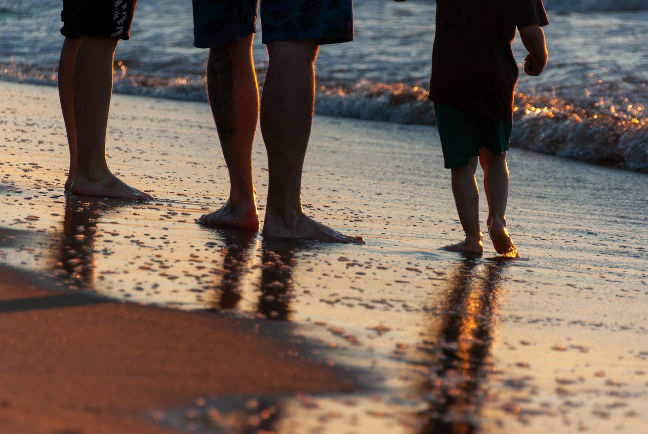 Clarks Classic Sandals - Limited Edition