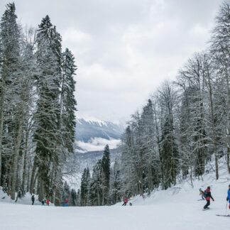 Zara Tailored Ski Jacket