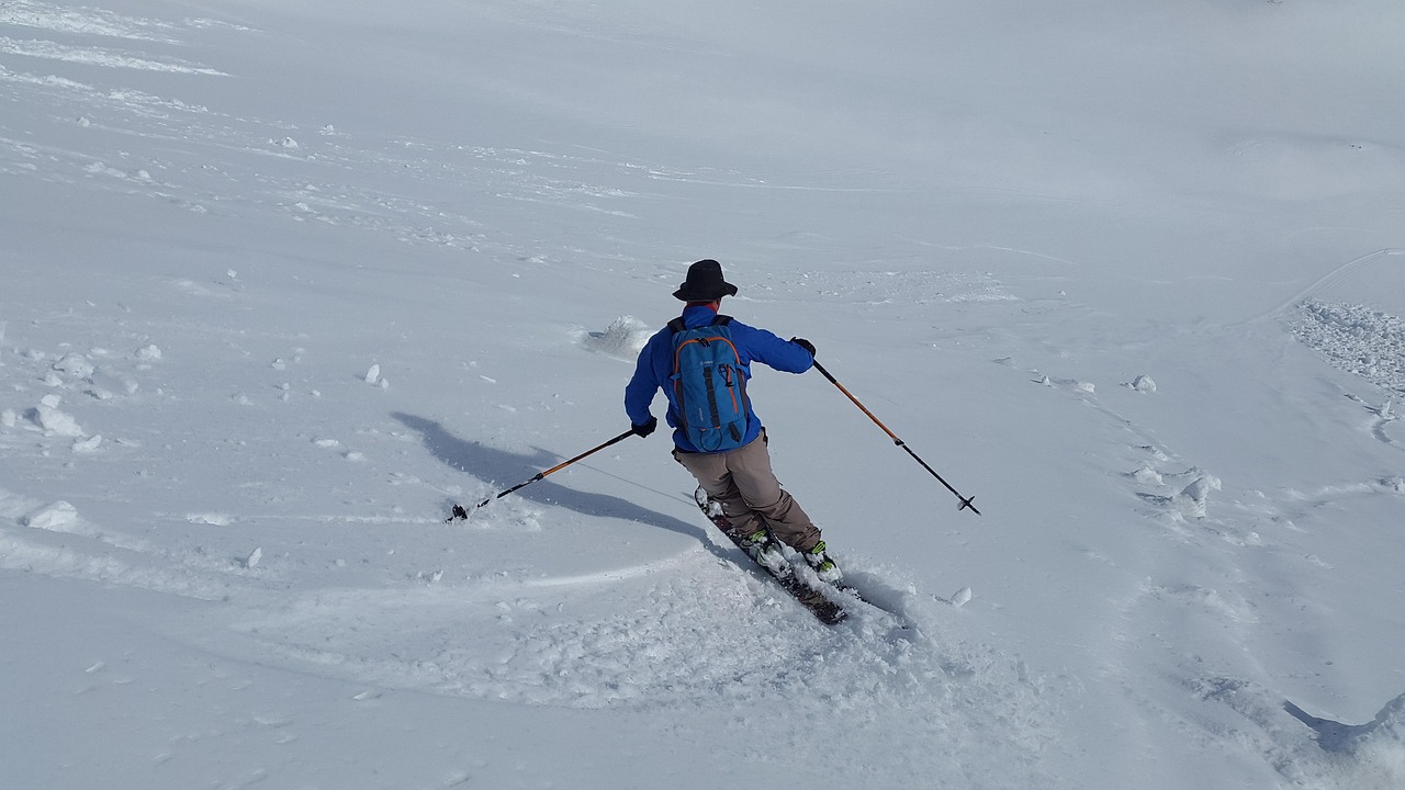 Patagonia Reversible Ski Jacket