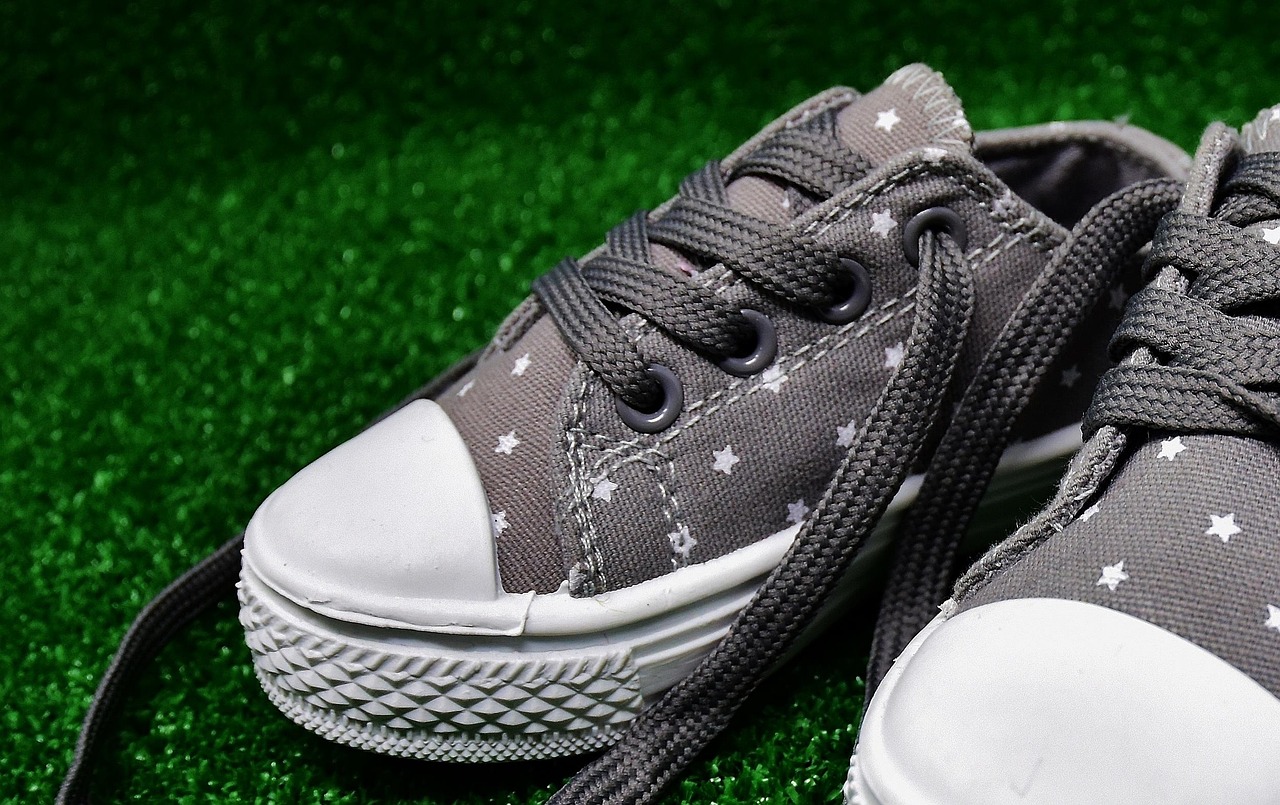 Reebok Premium Sneakers - Limited Edition