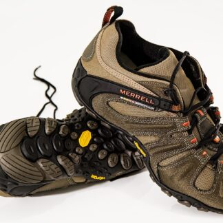 Steve Madden Premium Sneakers - Studio Edition