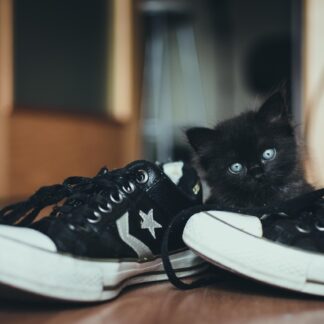 Nike Retro Sneakers