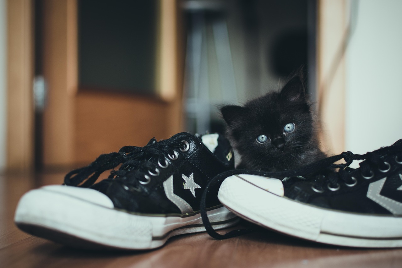 Nike Retro Sneakers