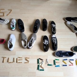 Vans Low-Top Sneakers