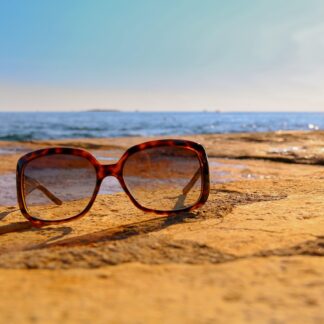 Coach Winter Sunglasses - Essentials