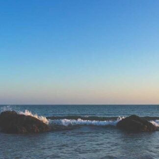 Wrangler Relaxed Sweatpants