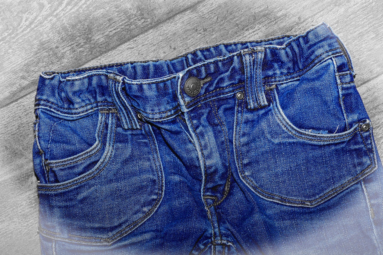 Levi's Regular Fit Trousers - Heritage Collection