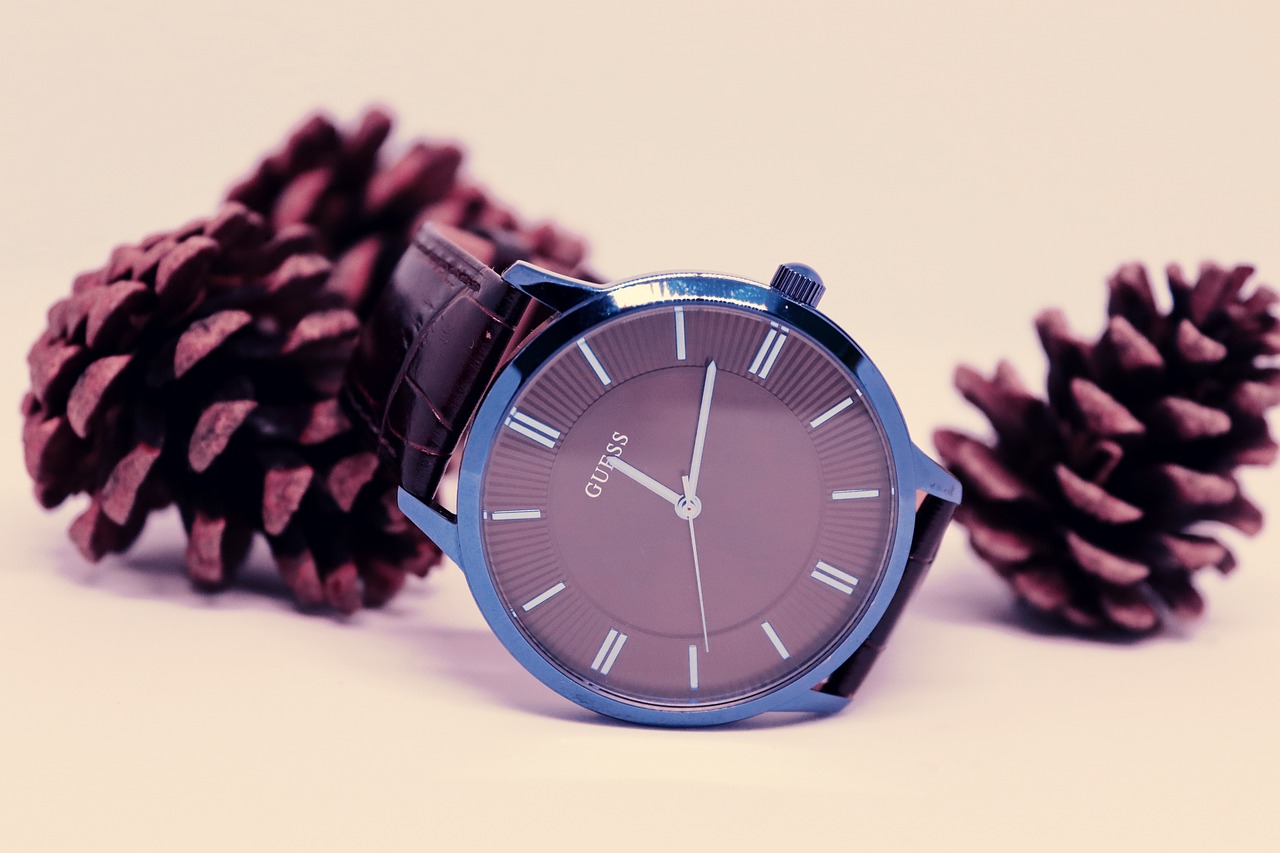 Michael Kors Crystal Watch